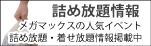 子供服着せ放題、陶器詰め放題など