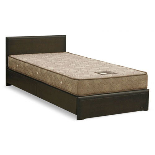 ツインセット エレガン