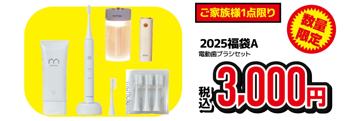 メガ福袋2025Aセット