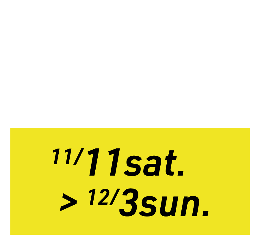 23/11/11~12/3